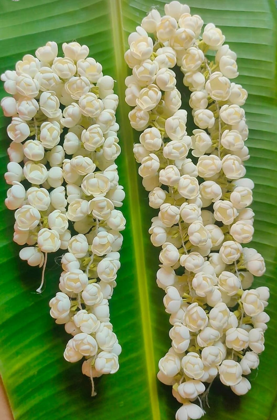 Elegant Artificial Jasmine String