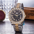 Gypsophila Diamond Steel Belt Watch