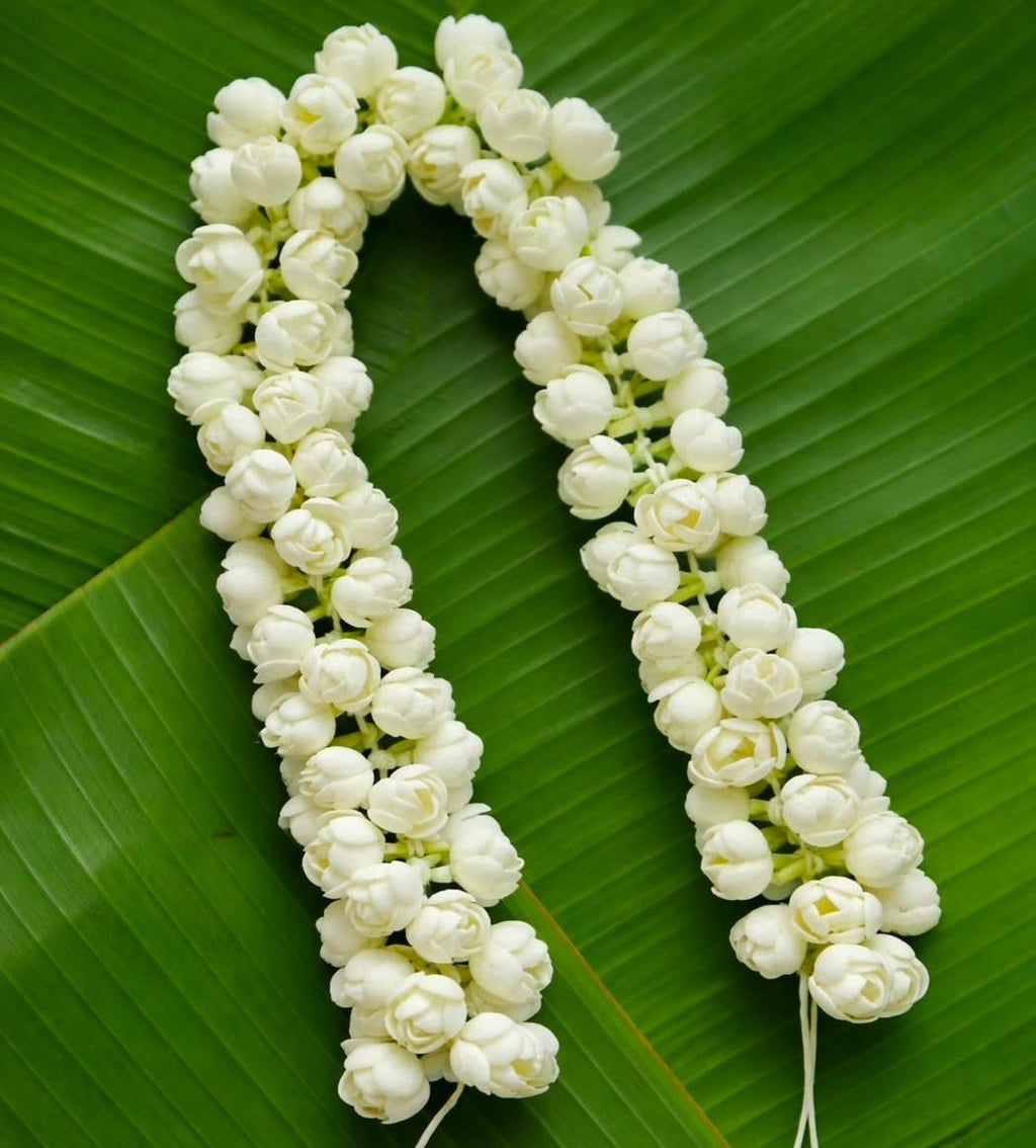 Elegant Artificial Jasmine String