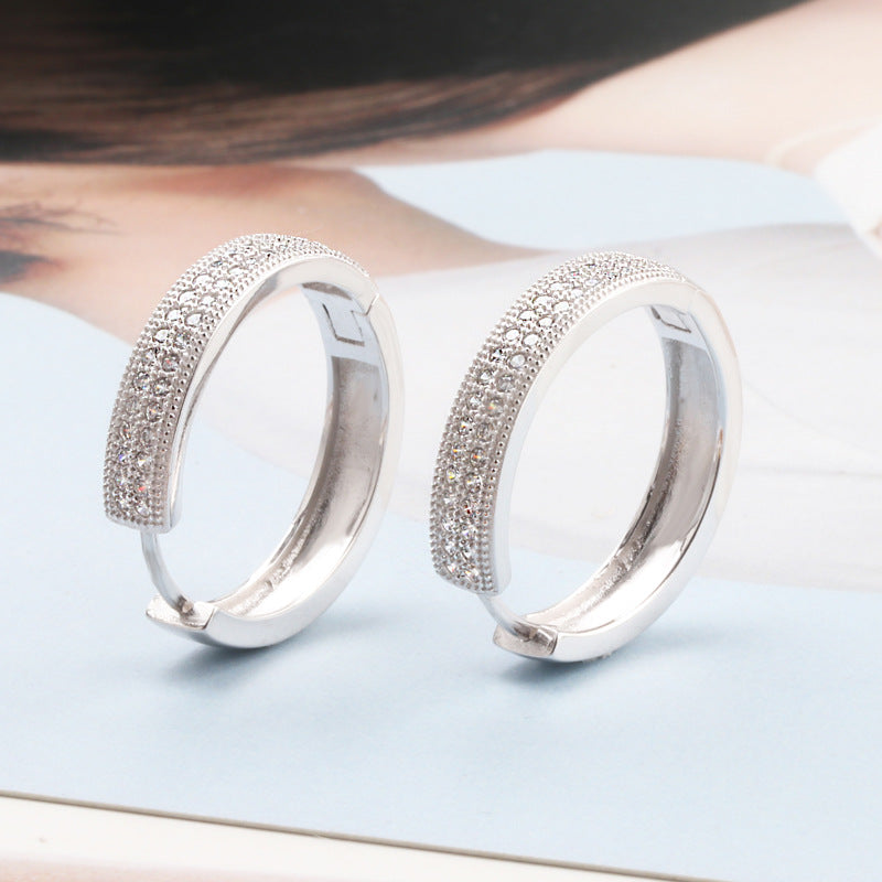 Platinum-Plated 5A Zircon Drop Earrings with S925 Sterling Silver Posts – Elegant Romantic Jewelry