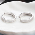 Platinum-Plated 5A Zircon Drop Earrings with S925 Sterling Silver Posts – Elegant Romantic Jewelry