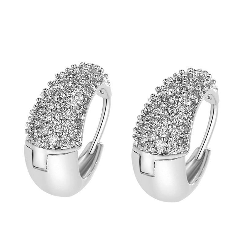 Platinum-Plated Round Zircon Hoop Earrings with S925 Sterling Silver – Classic Elegant Jewelry
