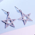 Platinum-Plated Star Zircon Earrings with S925 Sterling Silver – Sparkling Celestial Jewelry